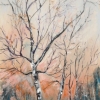 ertl-autumn-birches-5
